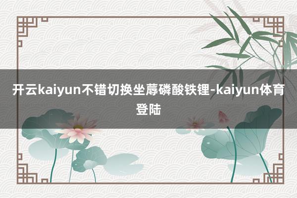 开云kaiyun不错切换坐蓐磷酸铁锂-kaiyun体育登陆