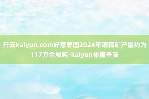 开云kaiyun.com好意思国2024年铜精矿产量约为117万金属吨-kaiyun体育登陆