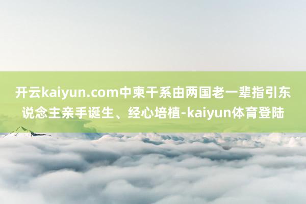开云kaiyun.com中柬干系由两国老一辈指引东说念主亲手诞生、经心培植-kaiyun体育登陆