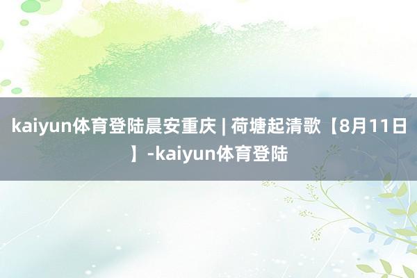 kaiyun体育登陆晨安重庆 | 荷塘起清歌【8月11日】-kaiyun体育登陆