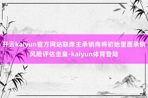 开云kaiyun官方网站联席主承销商将初始里面承销风险评估圭臬-kaiyun体育登陆